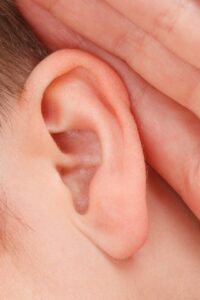Tinnitus Körpersymptome Herzfalter